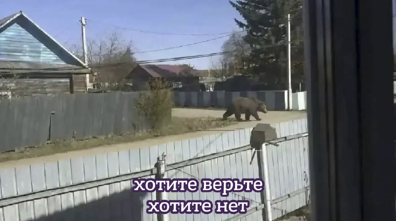 Фото поста канала  Лентач