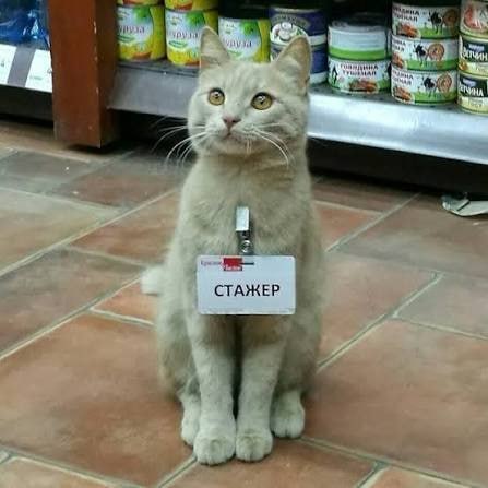 Фото поста канала  Блокнот Волгодонск