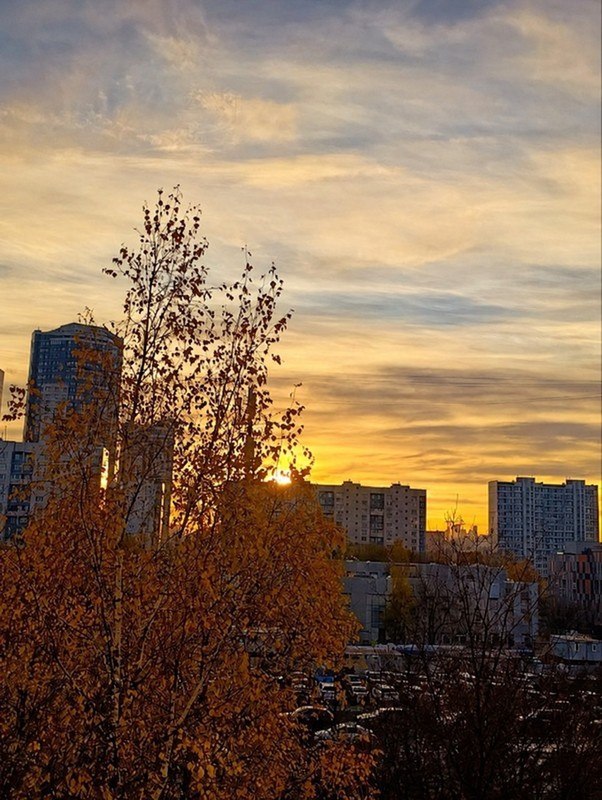 Фото поста канала  СЗАО ОНЛАЙН МОСКВА