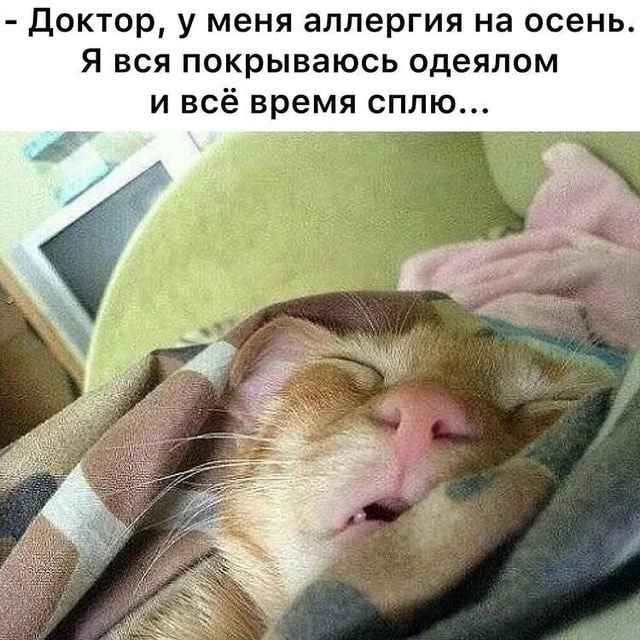 Фото поста канала  Большой воронежский