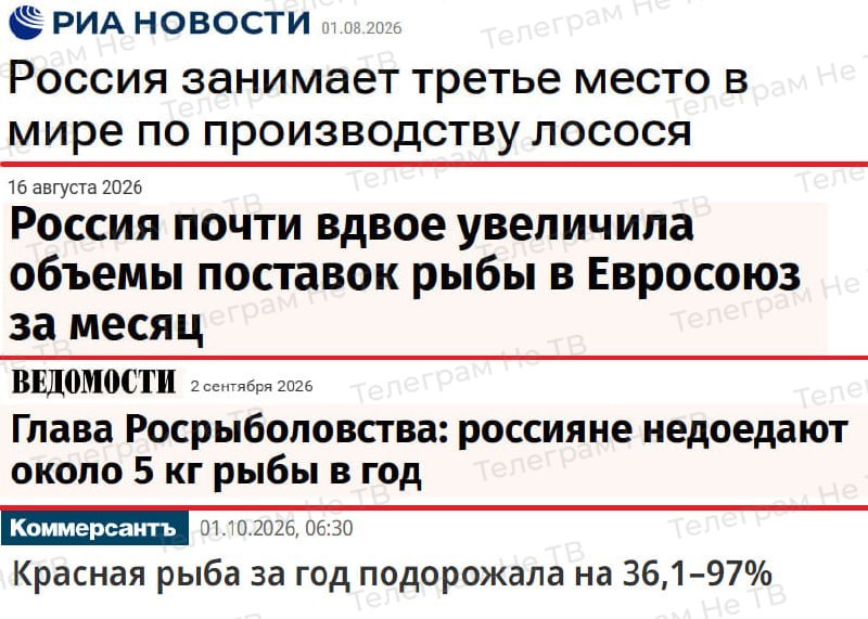 Фото поста канала  Не ТВ