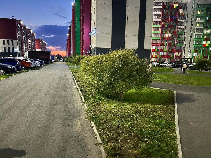 Фото поста канала ЧП НТВ