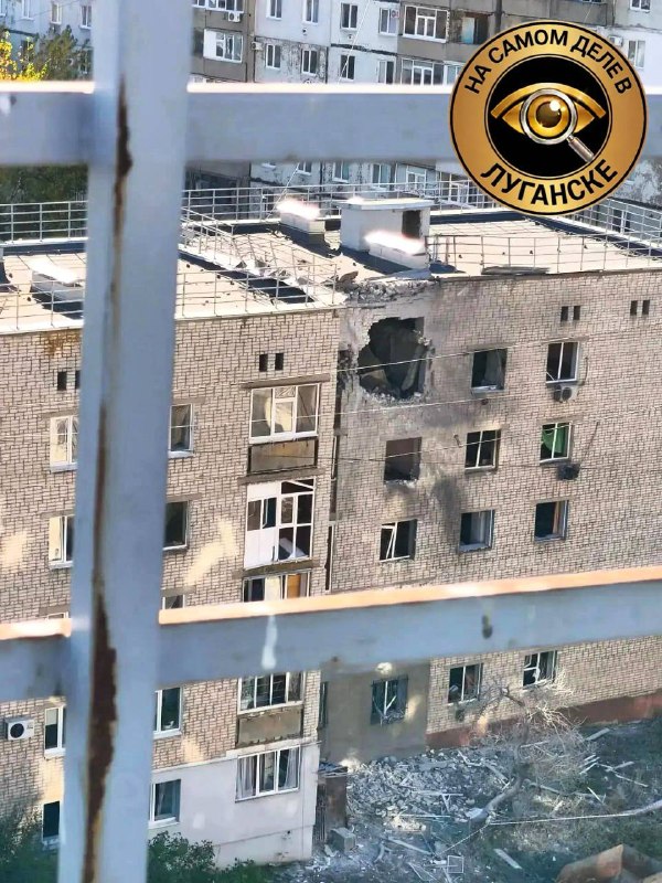 Фото поста канала  Фронтовая птичка