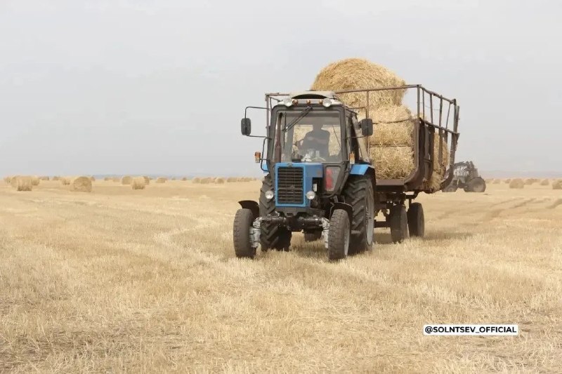 Фото поста канала  Оренбург Медиа
