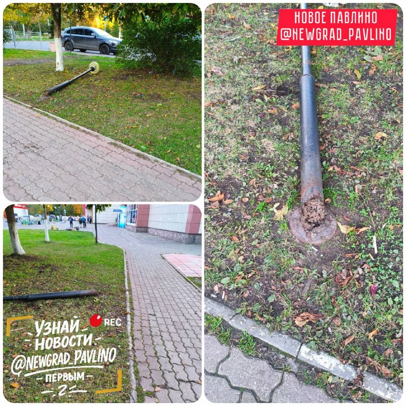 Фото поста канала  НОВОЕ ПАВЛИНО