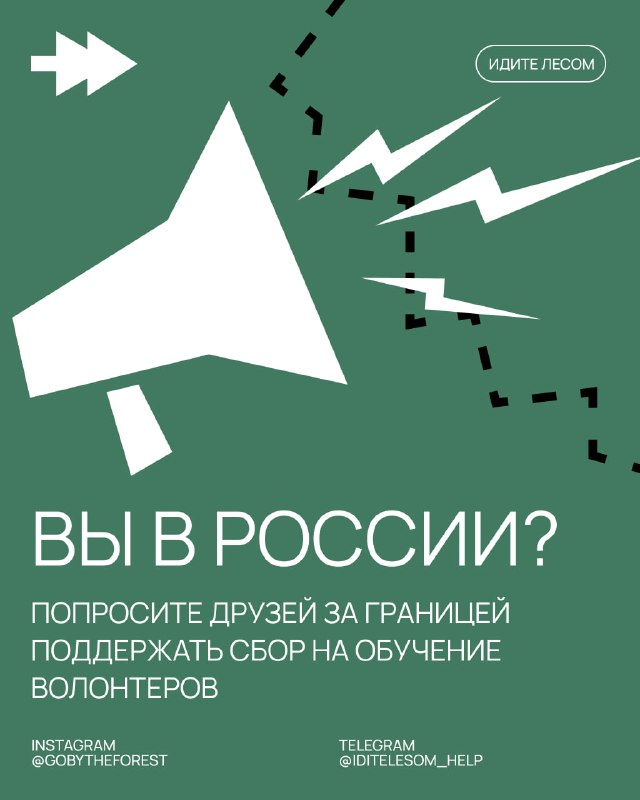 Фото поста канала Идите лесом!