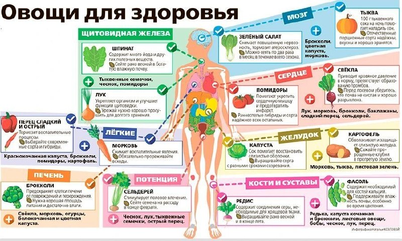 Фото поста канала  Аргументы и Факты — АиФ.ru