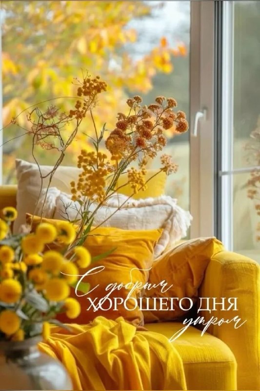 Фото поста канала Лента новостей ДНР | Z ТГ_ТЕСТ