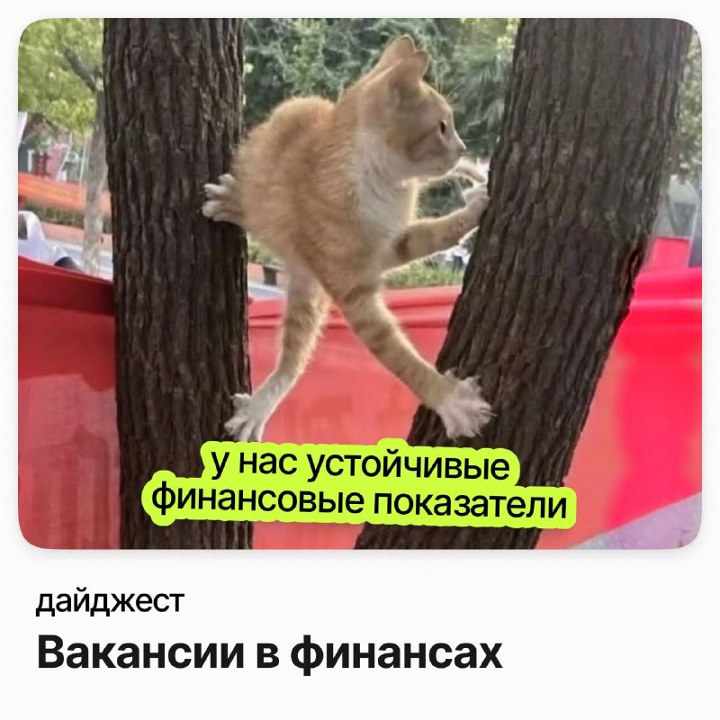 Фото поста канала careerspace