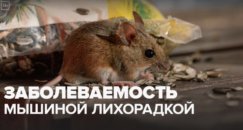 Фото поста канала  Разворот