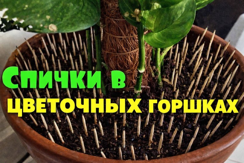 Фото поста канала Маленькие хитрости | Лайфхаки