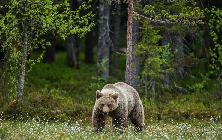 Фото поста канала  Зеленодольск Life | Яшел Үзән| РТ