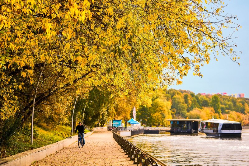 Фото поста канала  Московские новости