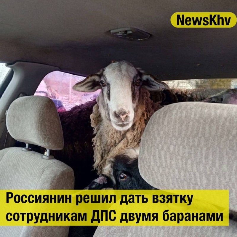 Фото поста канала  NewsKhv
