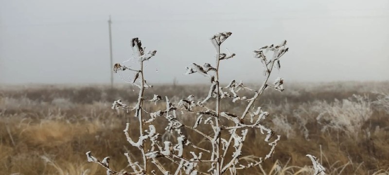 Фото поста канала  Оренбург Медиа