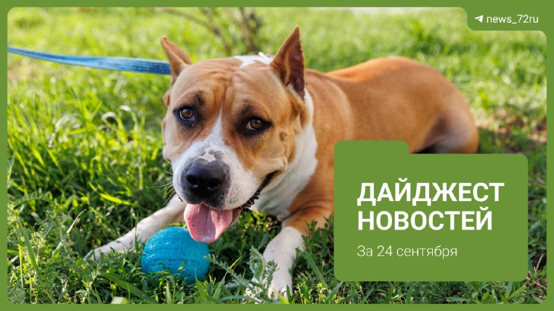 Фото поста канала  Новости Тюмени | 72.RU