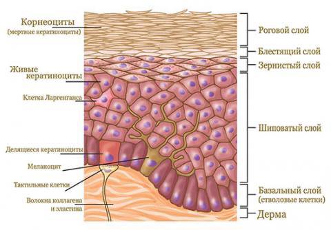 Фото поста канала  Курсы тактической медицины