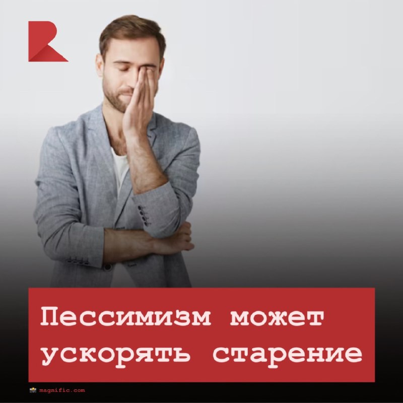 Фото поста канала RZN LIFE | ЖИЗНЬ РЯЗАНИ | РЯЗАНЬ