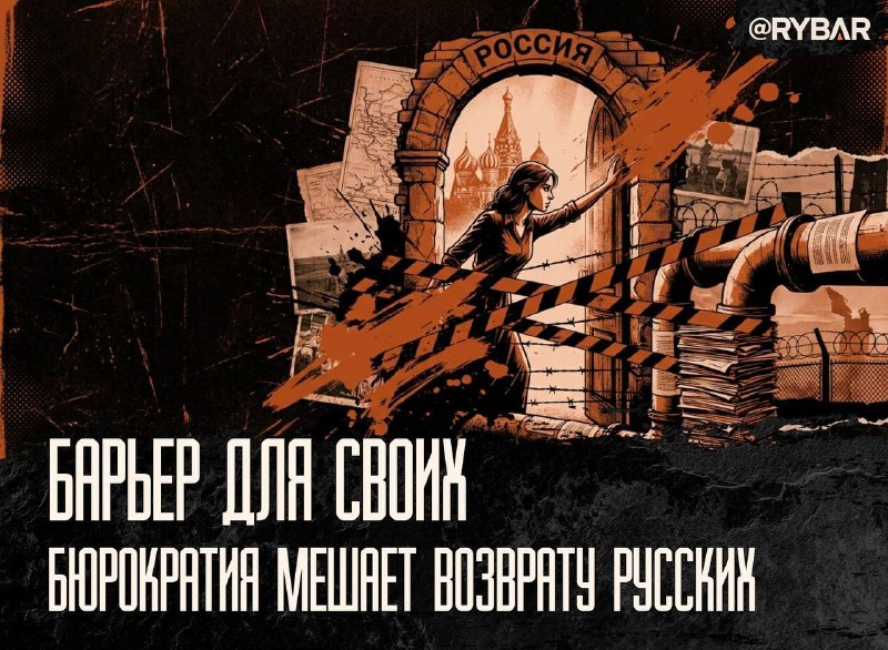 Фото поста канала  Латвийская кочка🇱🇻