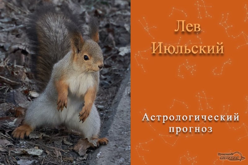 Фото поста канала  Мониторинг 66 Свердловская область