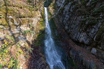 Фото поста канала  Лента Новостей