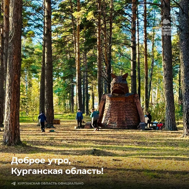 Фото поста канала  Мониторинг 45 Курганская область