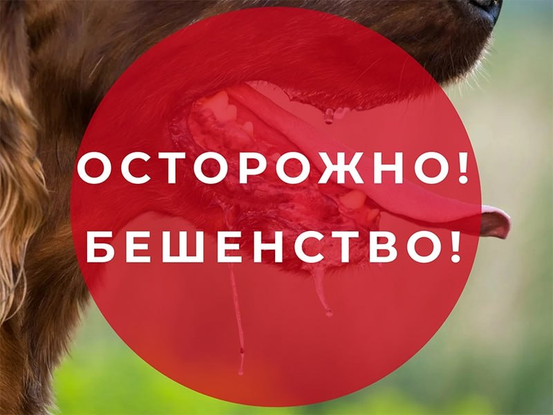 Фото поста канала  Донецкая Губерния 🔹