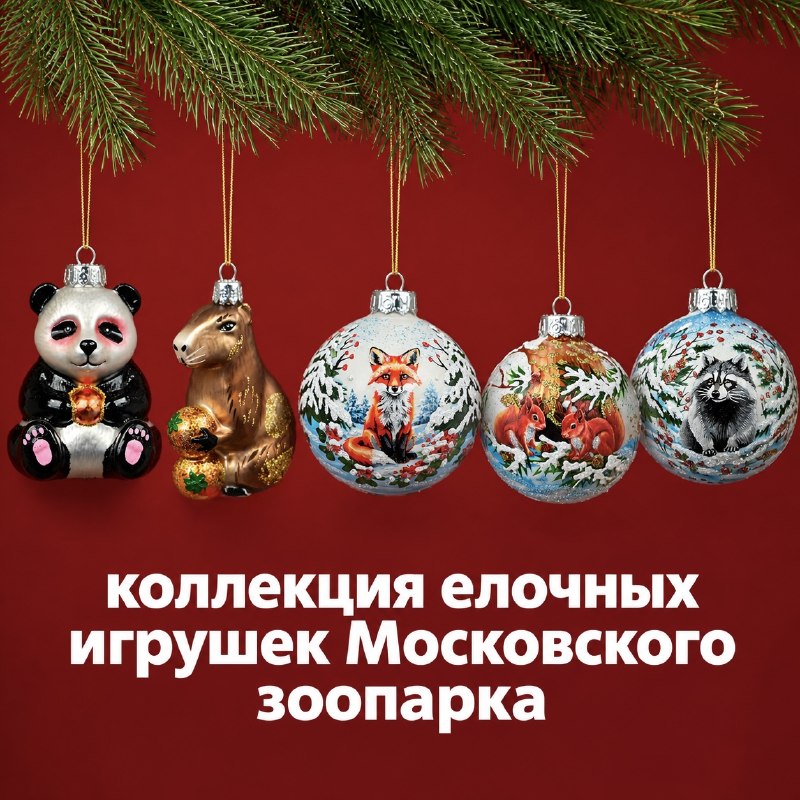 Фото поста канала Московский зоопарк