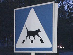 Фото поста канала Это факт