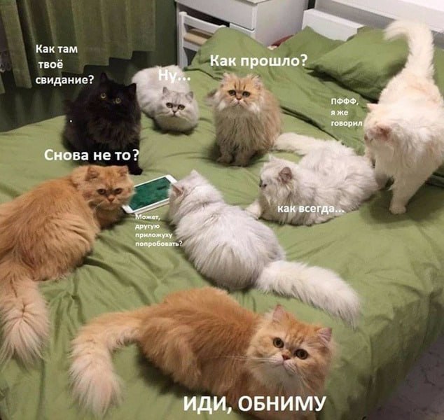 Фото поста канала  ТАТМЕДИА | Новости Казани и Татарстана