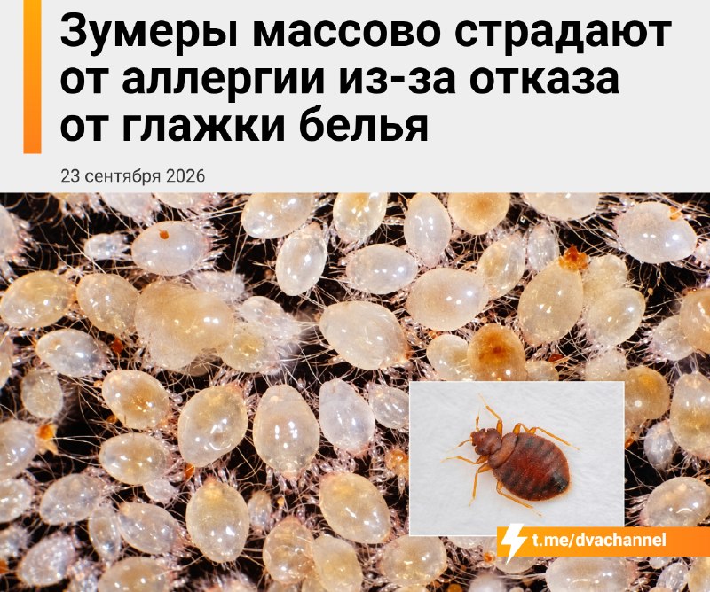 Фото поста канала Двач