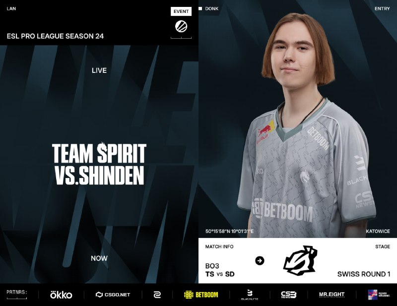 Фото поста канала Team Spirit CS2