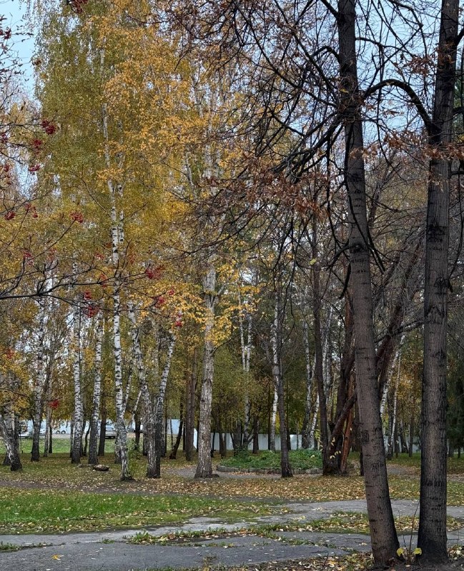 Фото поста канала Тусовка у Реми✨