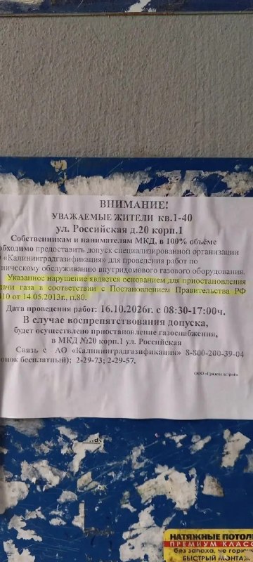 Фото поста канала ЯНТАРНЫЙ ДЛБ (Калининград)