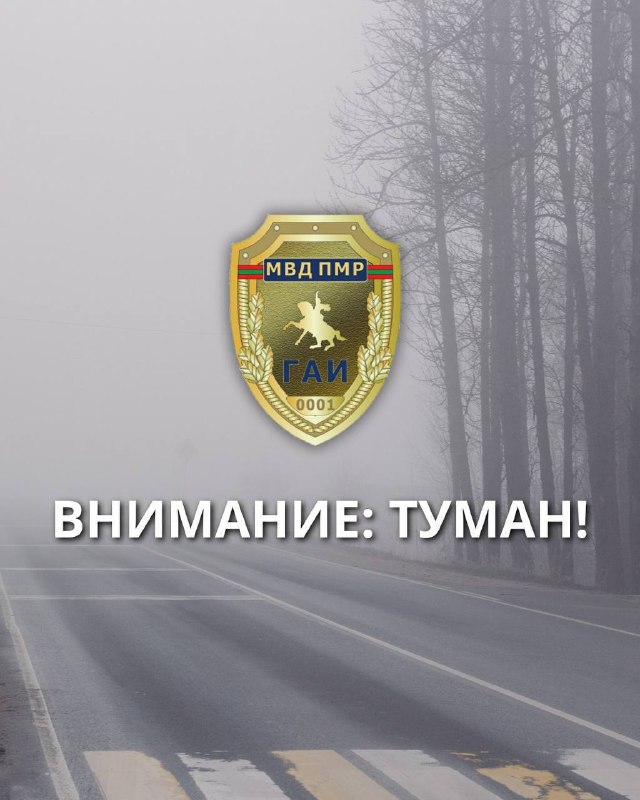 Фото поста канала  Лента новостей Приднестровья | Z