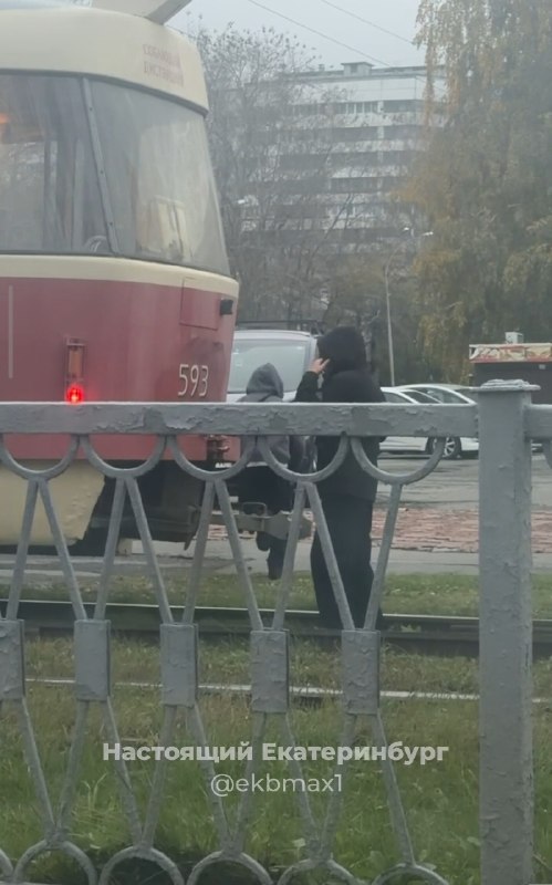 Фото поста канала  Ботаника Екатеринбург