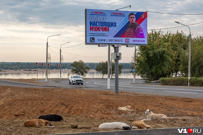 Фото поста канала V1.RU | Новости Волгограда