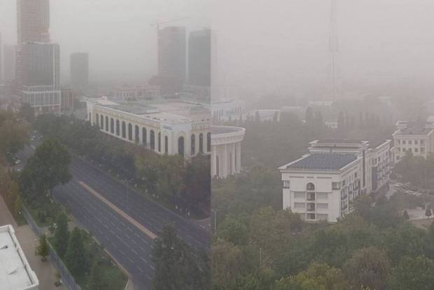 Фото поста канала Пресса.uz – Новости Узбекистана