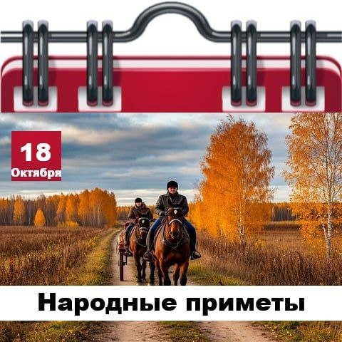 Фото поста канала  Жесть Шебекино