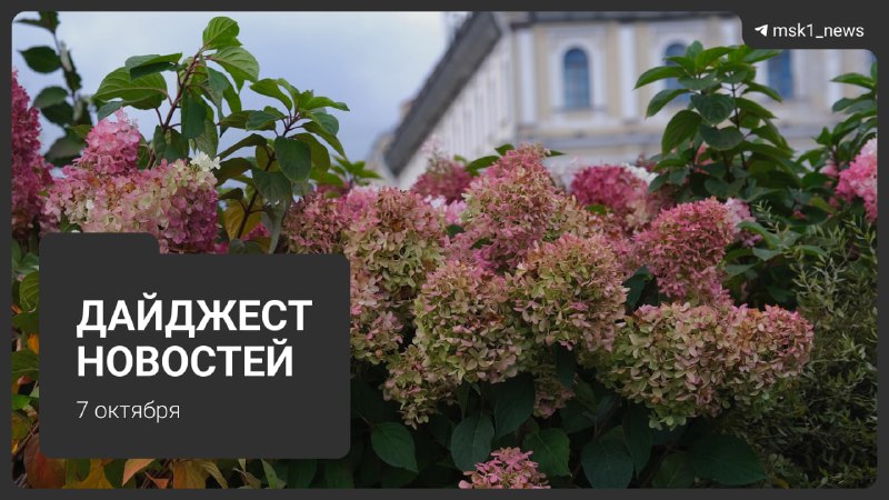Фото поста канала MSK1.RU | Новости Москвы | Россия
