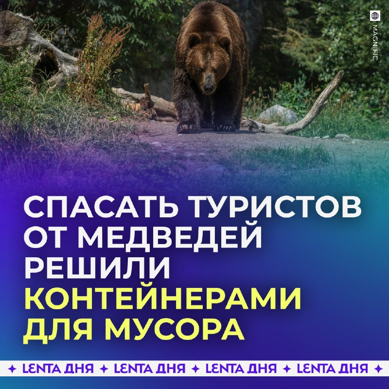 Фото поста канала Лента дня