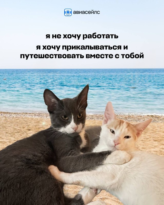 Фото поста канала Это тренд