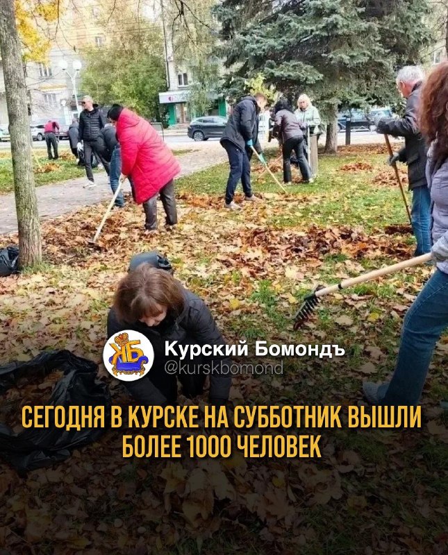 Фото поста канала  КУРСКИЙ БОМОНДЪ