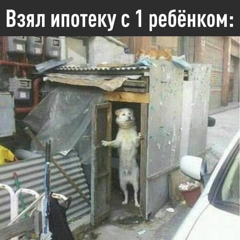 Фото поста канала  Херсонская область