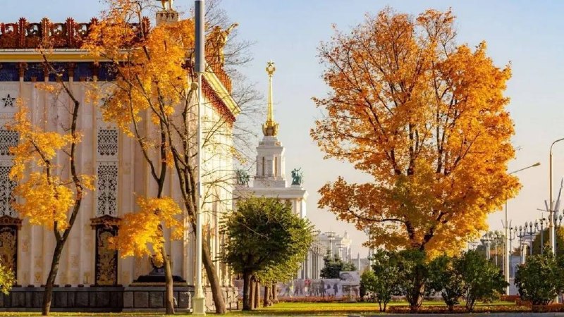 Фото поста канала Москва Live