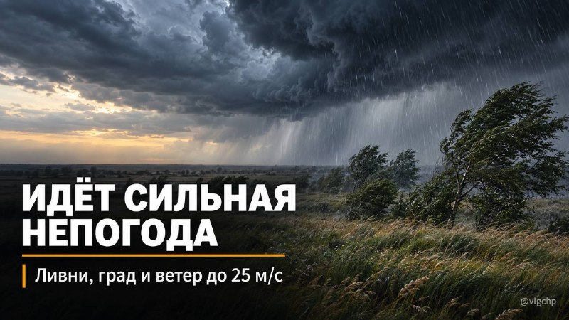 Фото поста канала  Волгоград