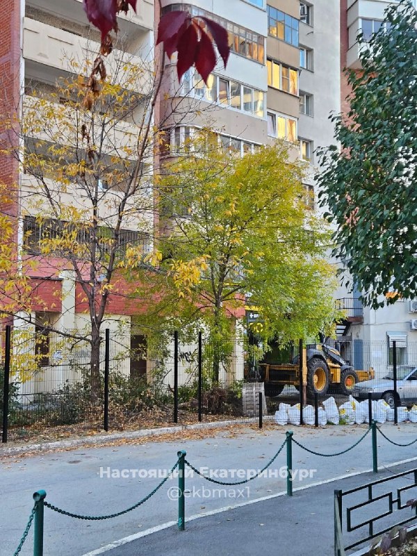 Фото поста канала  Ботаника Екатеринбург