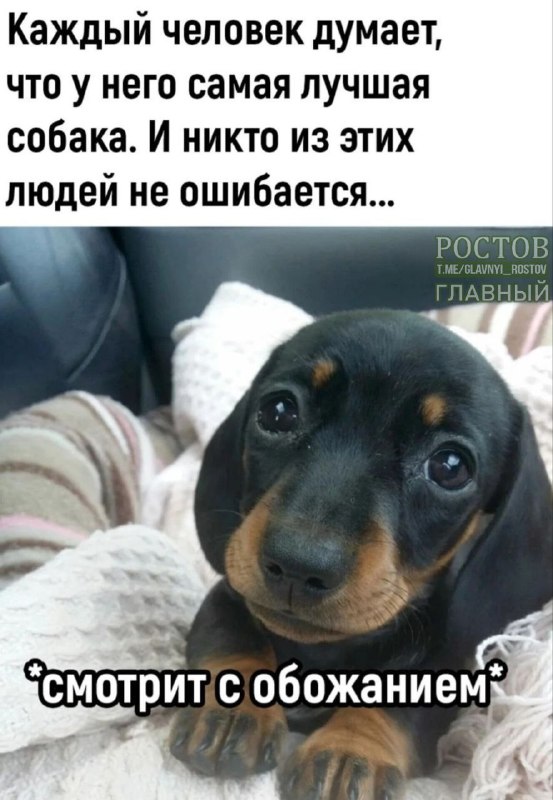 Фото поста канала  Ростов Главный новости
