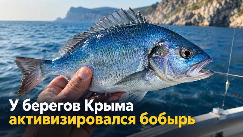 Фото поста канала  НОВОСТИ КРЫМ СЕВАСТОПОЛЬ