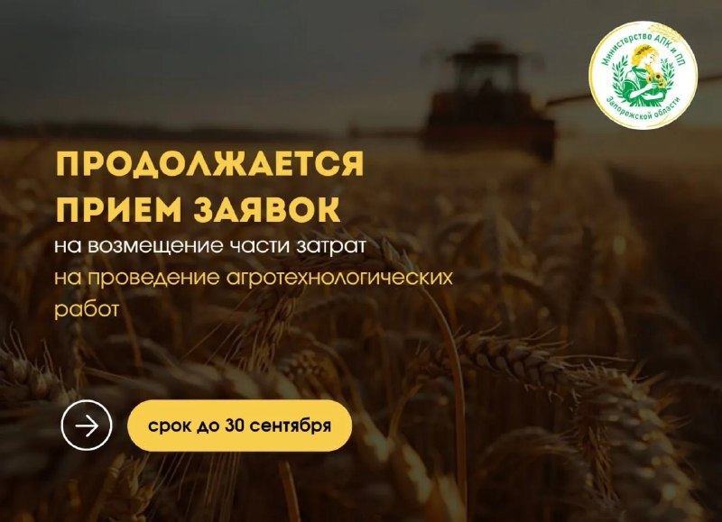 Фото поста канала  Лента новостей Бердянска | Z